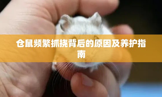 如鸟兽散 第2页