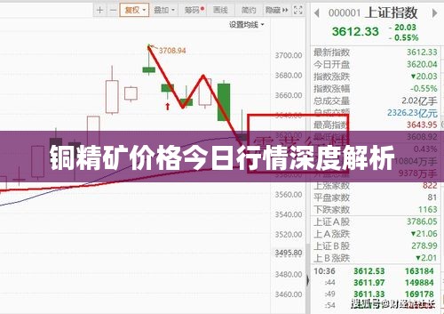 铜精矿价格今日行情深度解析