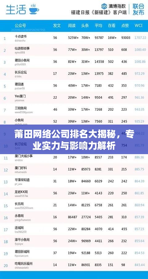 莆田网络公司排名大揭秘，专业实力与影响力解析