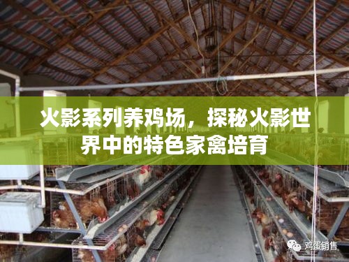 火影系列养鸡场，探秘火影世界中的特色家禽培育