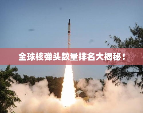 美如冠玉 第2页