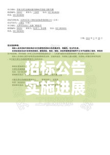招标公告实施进展深度解析