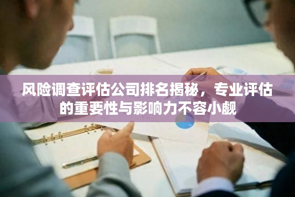 风险调查评估公司排名揭秘，专业评估的重要性与影响力不容小觑