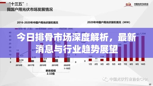 今日排骨市场深度解析，最新消息与行业趋势展望