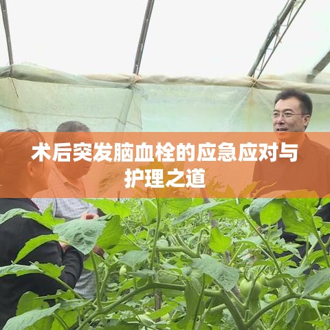 束手就擒