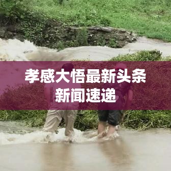 孝感大悟最新头条新闻速递