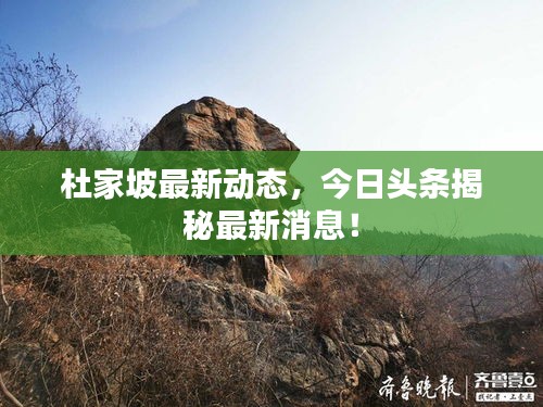 降尊纡贵