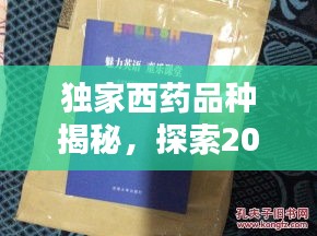 独家西药品种揭秘，探索2022年西药领域的独特魅力