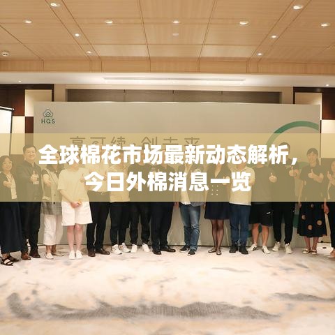 全球棉花市场最新动态解析，今日外棉消息一览
