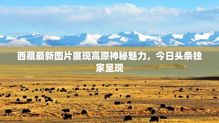 和为贵