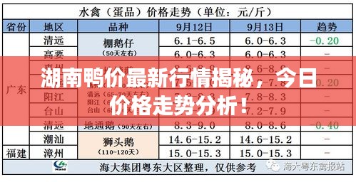 湖南鸭价最新行情揭秘，今日价格走势分析！