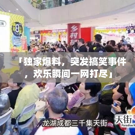 文质彬彬