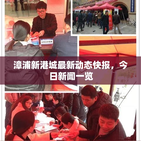漳浦新港城最新动态快报，今日新闻一览