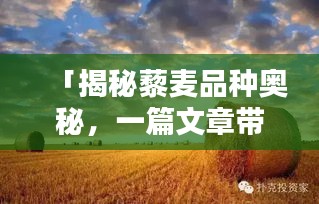 粗衣淡饭