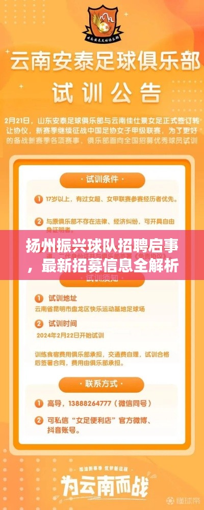 扬州振兴球队招聘启事，最新招募信息全解析！