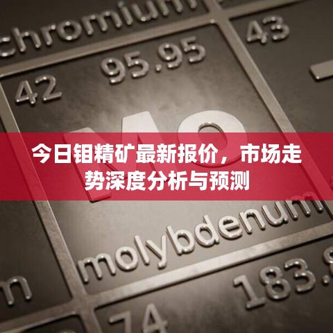 瞻云就日