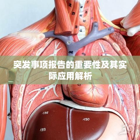 纡尊降贵