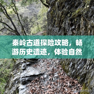 五侯七贵