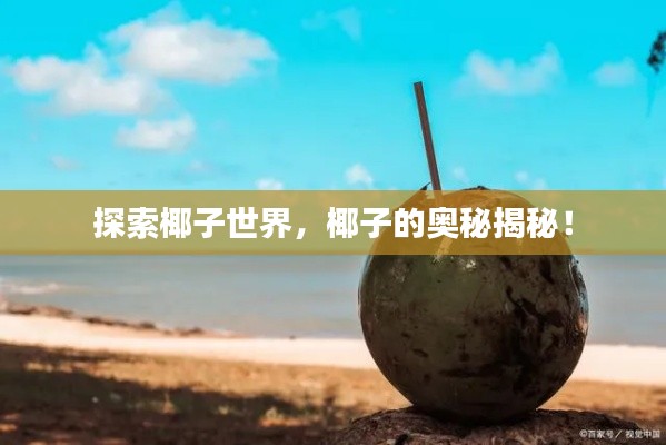 探索椰子世界，椰子的奥秘揭秘！