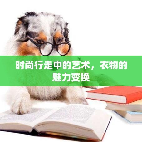 时尚行走中的艺术，衣物的魅力变换