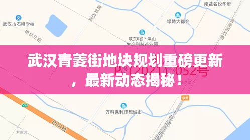 武汉青菱街地块规划重磅更新，最新动态揭秘！
