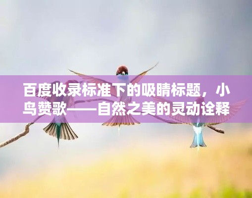 法不阿贵
