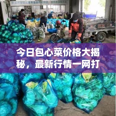 群雌粥粥