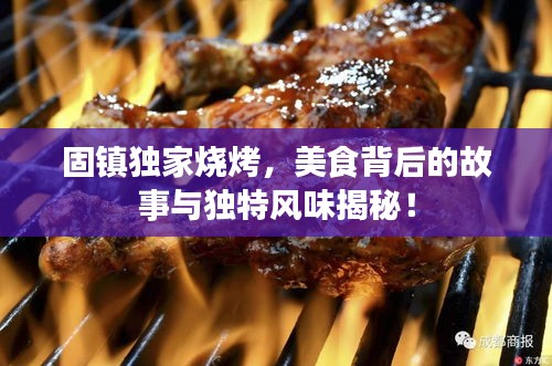 固镇独家烧烤，美食背后的故事与独特风味揭秘！