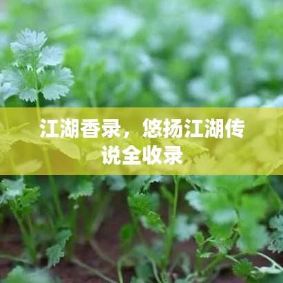 秀色可餐