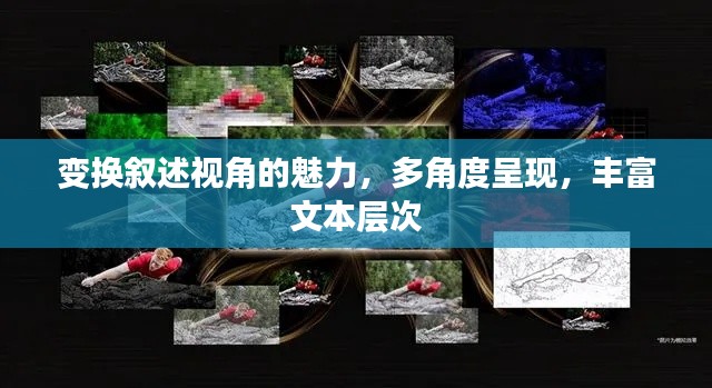 变换叙述视角的魅力，多角度呈现，丰富文本层次