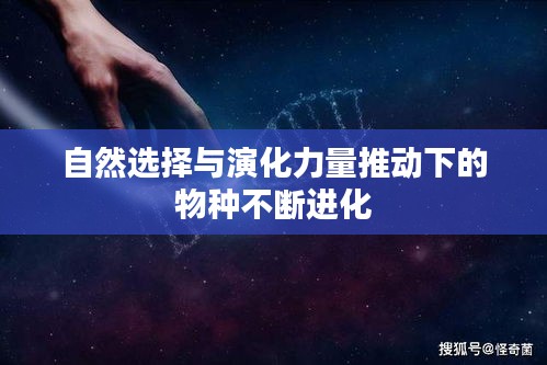 屈高就下