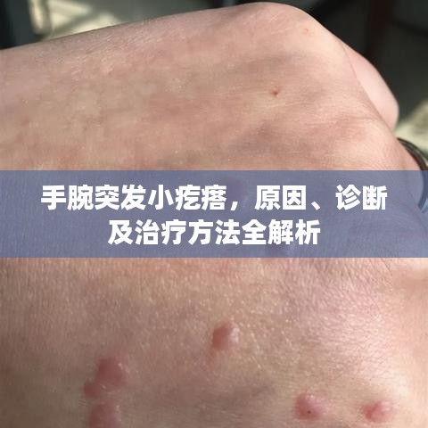 惊弦之鸟
