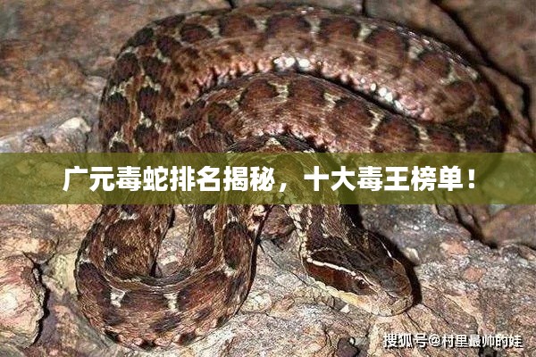 设计印刷 第12页