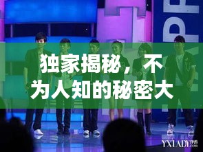 一花独放