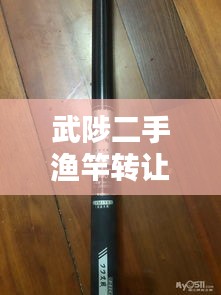 武陟二手渔竿转让最新消息，优质竿源不容错过