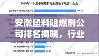 开张圣听