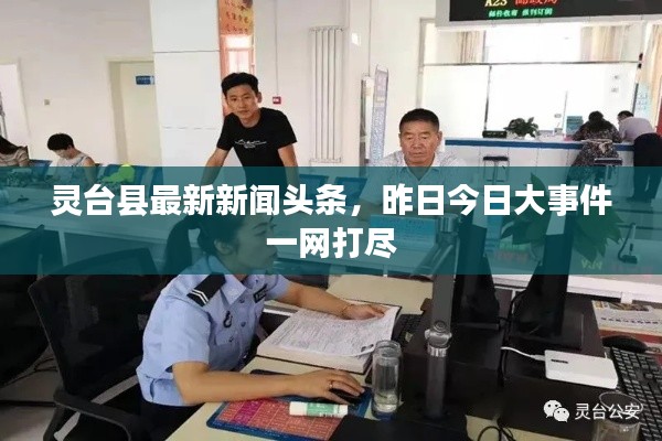 灵台县最新新闻头条，昨日今日大事件一网打尽