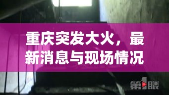 还淳反素