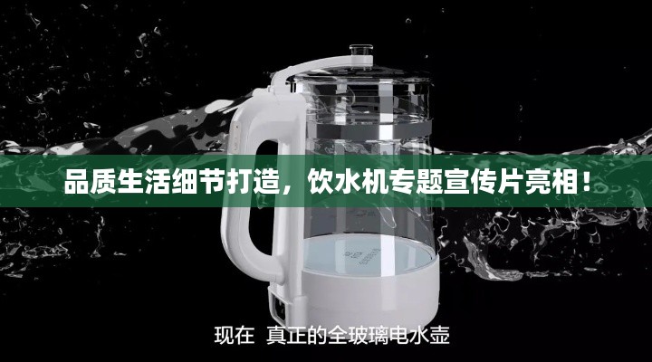 飞鸟依人