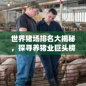 世界猪场排名大揭秘，探寻养猪业巨头榜单