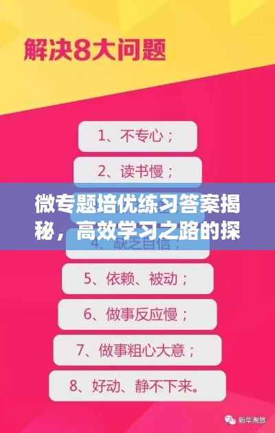 微专题培优练习答案揭秘，高效学习之路的探索
