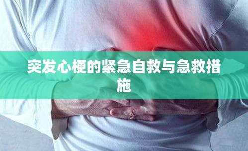 采椽不斫