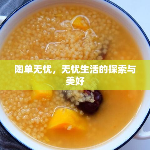 陶单无忧，无忧生活的探索与美好