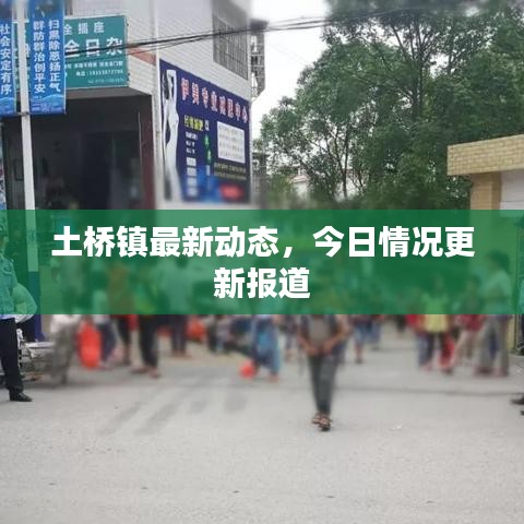飞燕化龙