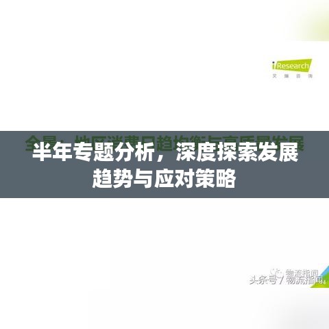 半年专题分析，深度探索发展趋势与应对策略