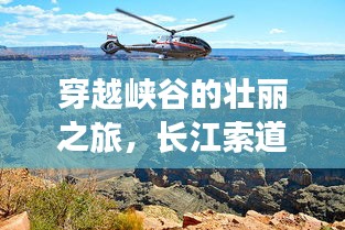 贵险贱璧