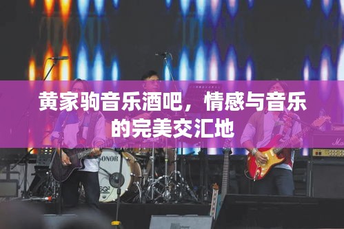 龙马精神