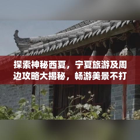 饭来张口