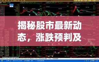宣传册 第6页