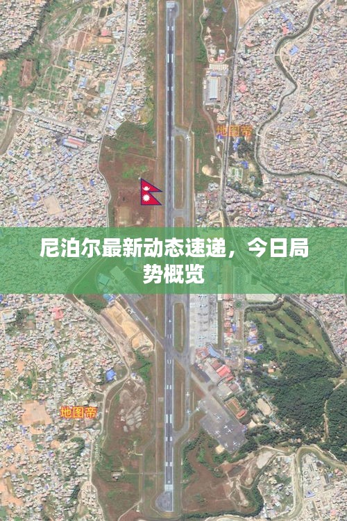 尼泊尔最新动态速递，今日局势概览
